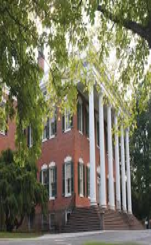 INTO Group - Drew University